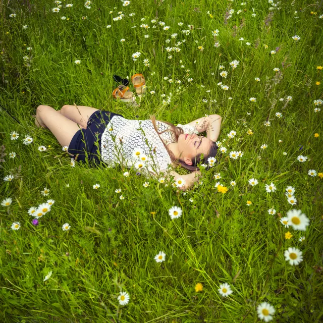 Lit de pâquerettes au plan d'eau de Brûlon