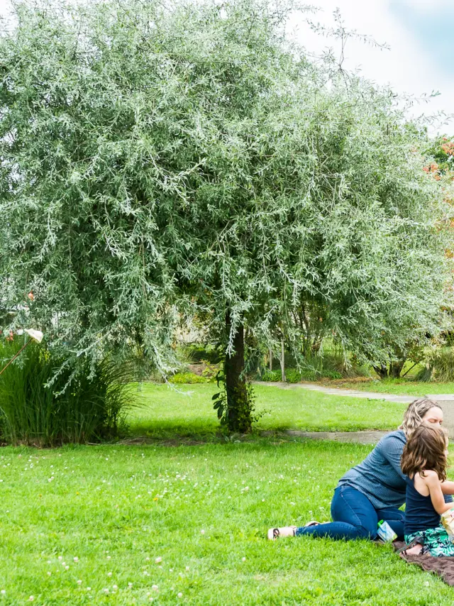 Pique nique en famille sur l'Île MoulinSart à Fillé