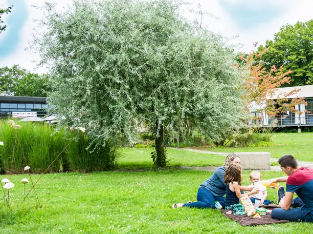 Pique nique en famille sur l'Île MoulinSart à Fillé