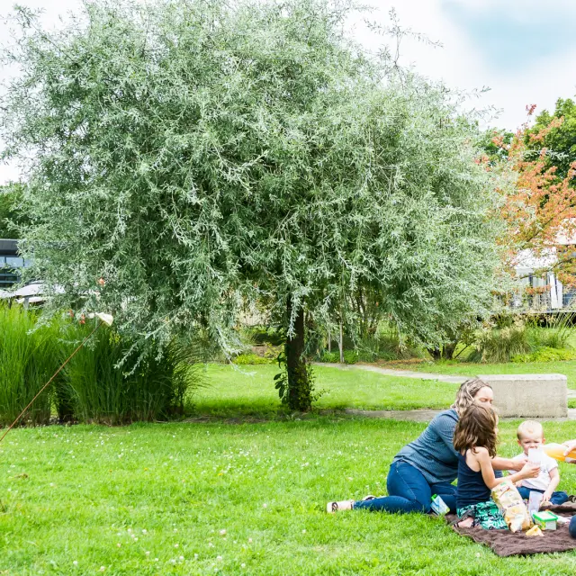 Pique nique en famille sur l'Île MoulinSart à Fillé