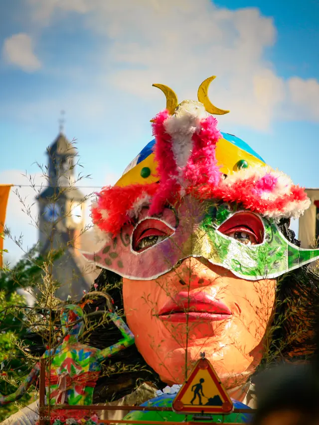 carnaval-du-boeuf-ville-montlucon-02