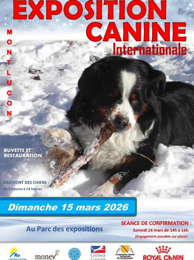 15 Mars 2026 Exposition Canine Internationale Parc Des Expositions Montlucon