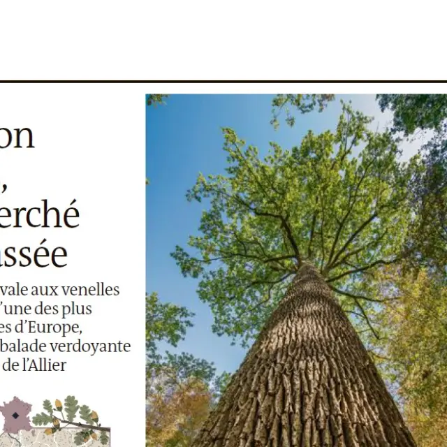 Fang Decran 2025 12 11 115617