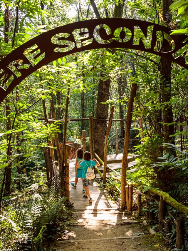 Xploria, el bosque que explora el tiempo