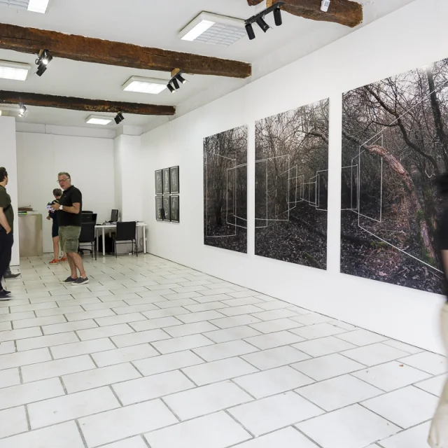 2017 Galeriescarla@smeurisse 75