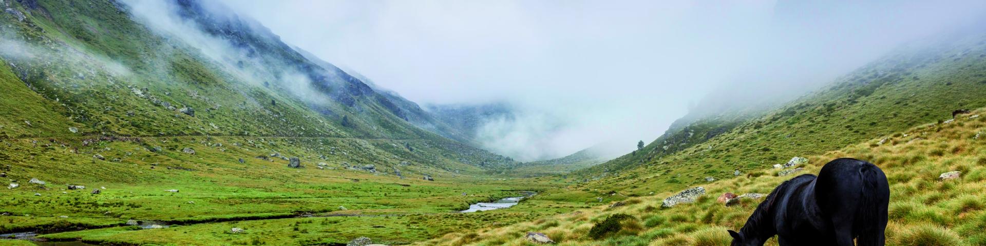 Pano Pnr