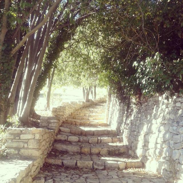 Instagram #fetedelafigue