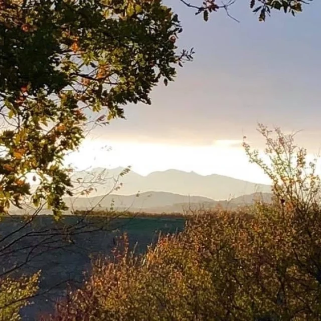 Instagram #lefossat