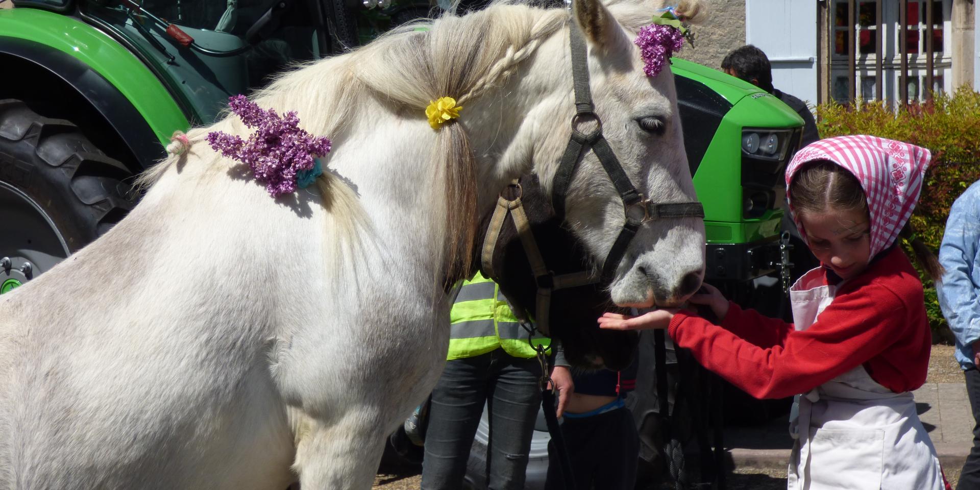 Foire Agricole du Mas d'Azil
