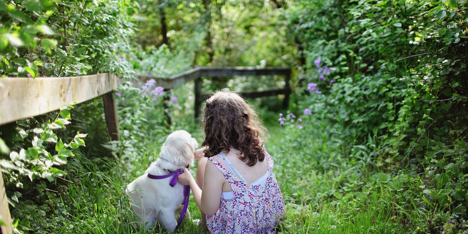 Balade Avec Le Chien