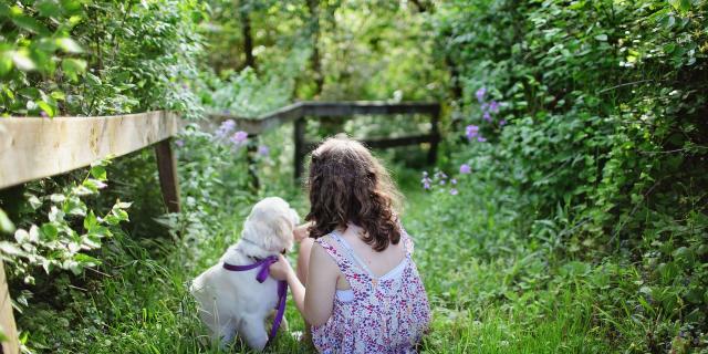 Balade Avec Le Chien