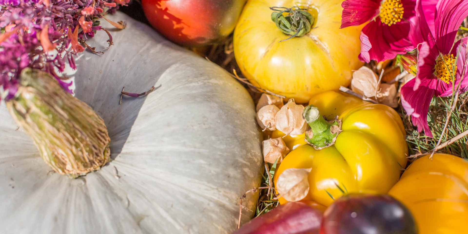 Légumes de Kokopelli
