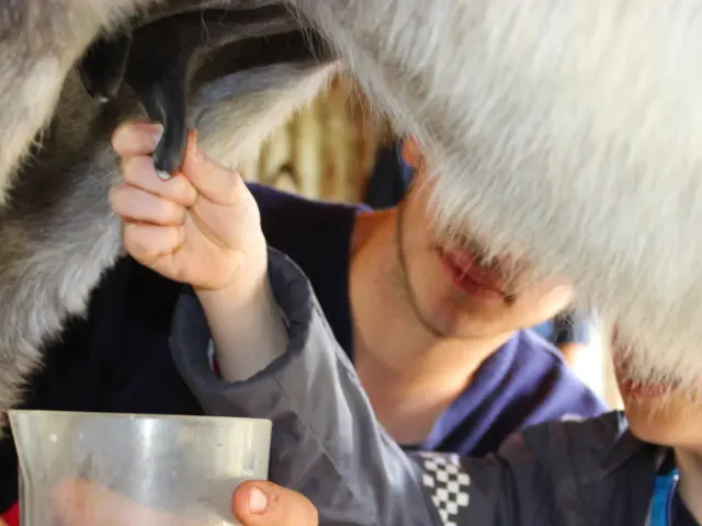 Atelier Traite du lait d'ânesse