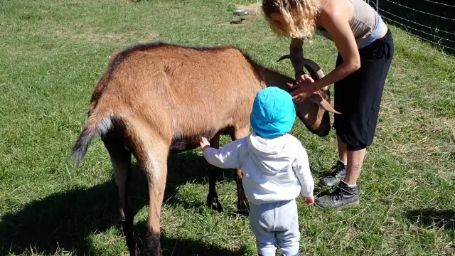 Découverte des animaux à la Bellakina