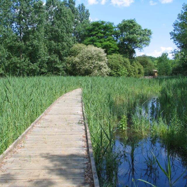 Marais Cré-Sur-Loir