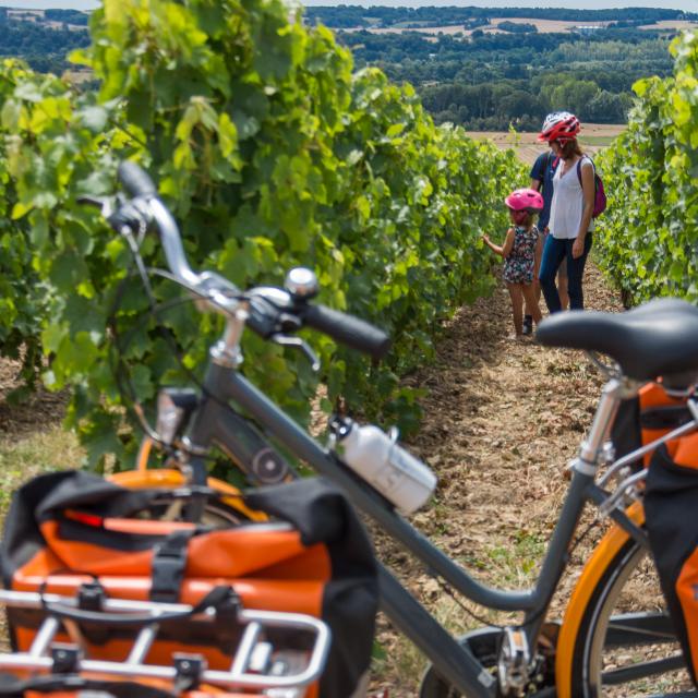 La vallée du Loir à vélo - Vignoble Jasnières et Coteaux du Loir