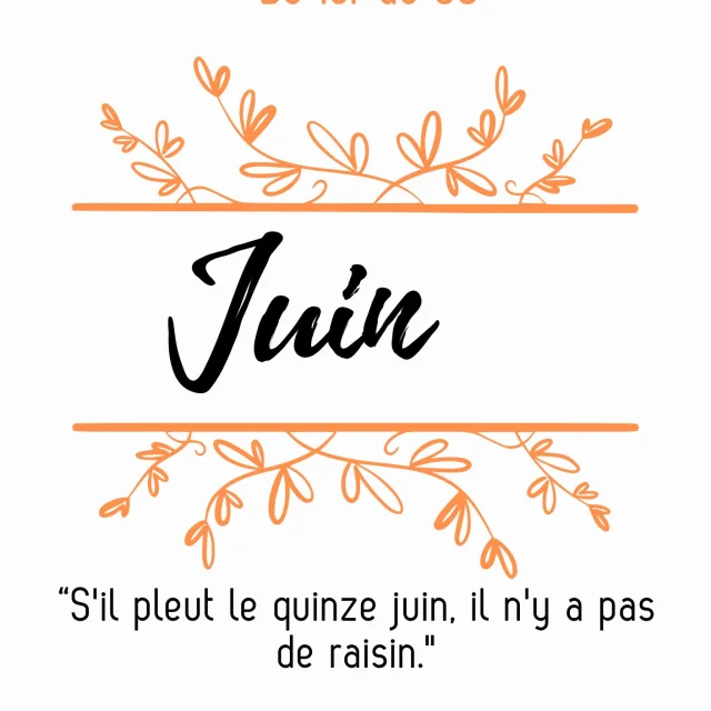 Couv Le Mensuel Des Animations En Vallee Du Loir