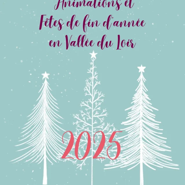 Les Animations De Noel En Vallee Du Loir
