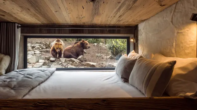 Zoo De La Fleche Safari Lodges 1 Large