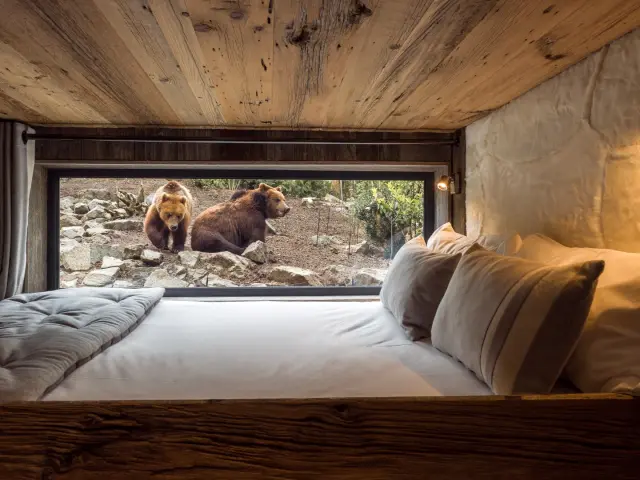 Zoo De La Fleche Safari Lodges 1 Large