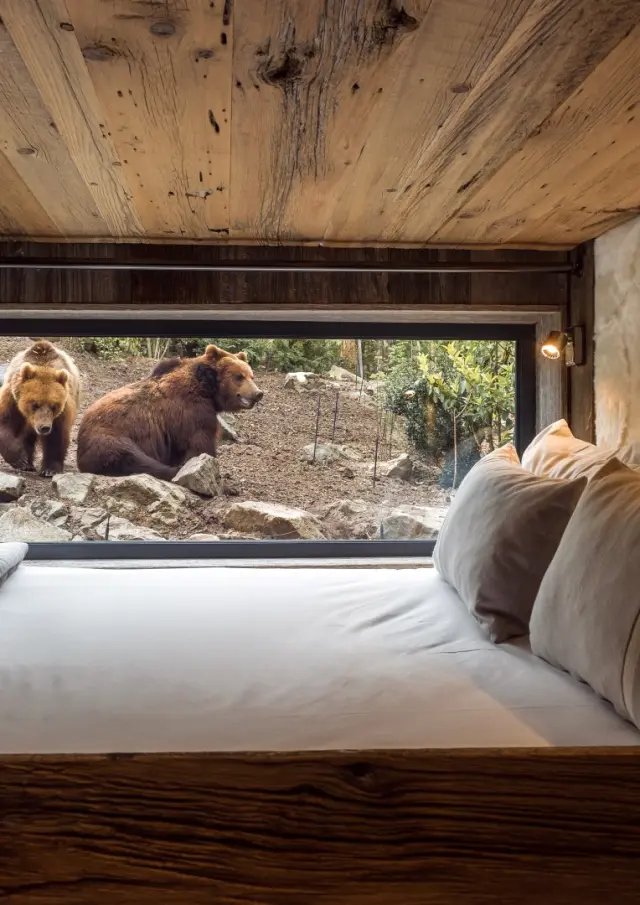 Zoo De La Fleche Safari Lodges 1 Groot