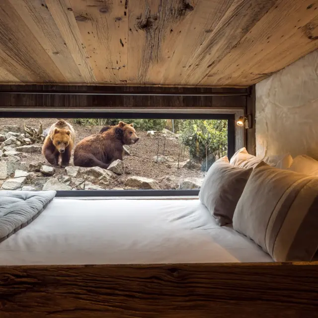 Zoo De La Fleche Safari Lodges 1 Large