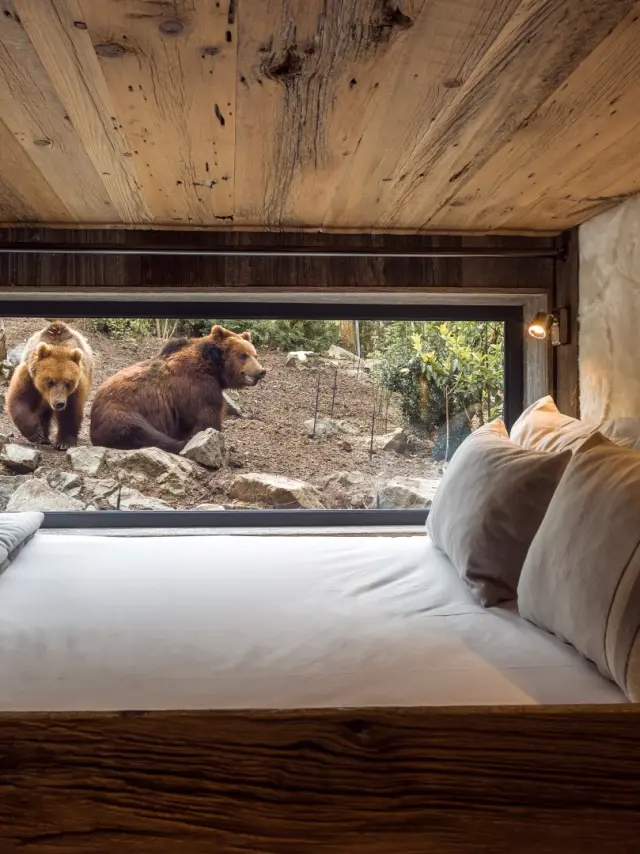 Zoo De La Fleche Safari Lodges 1 Large