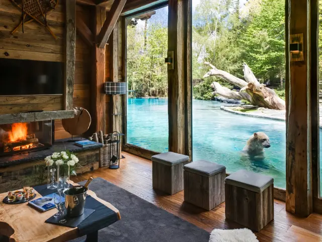 Zoo De La Fleche Safari Lodges 6 Large