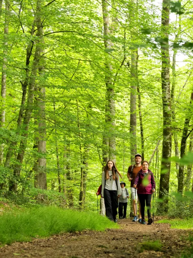 Foret De Berce 2024 Pascal Beltrami 6 Groot