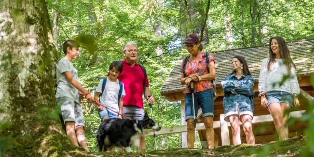 Foret De Berce Otvl 5 Large