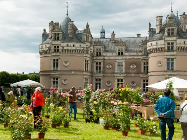 Chateau Du Lude Stevan Lira 1 Large