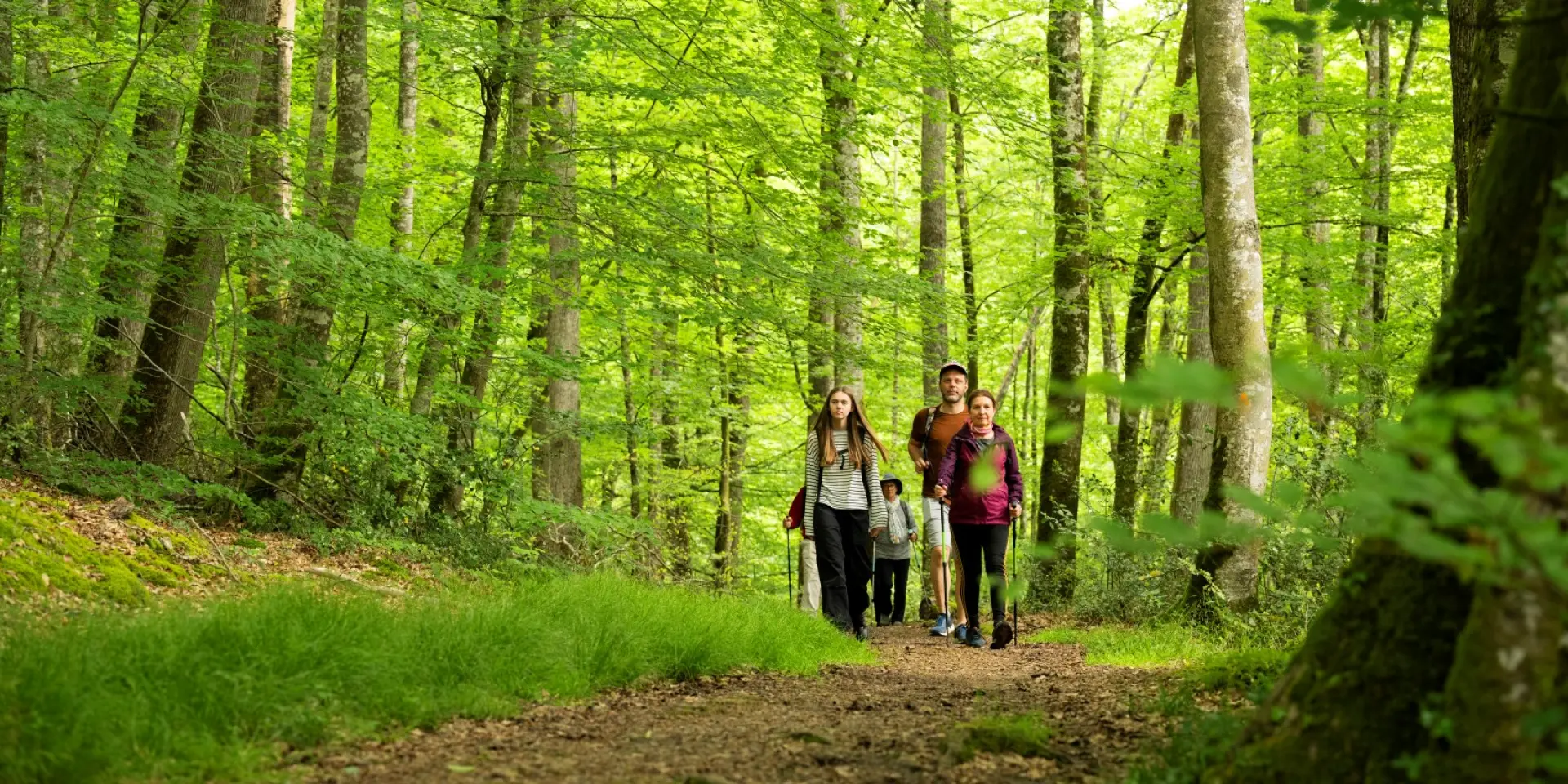 Foret De Berce 2024 Pascal Beltrami 6 Large