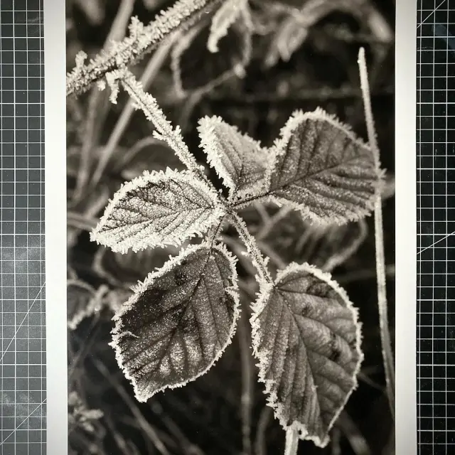 Instagram #valleeduloir