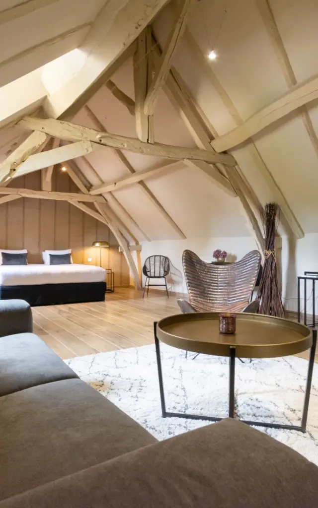 Domaine De La Limetiere®stevan Lira 15 Groot