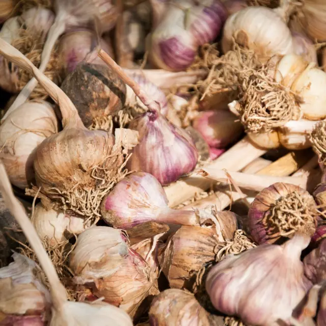 Marche La Fleche® Jp Berlose5 Large