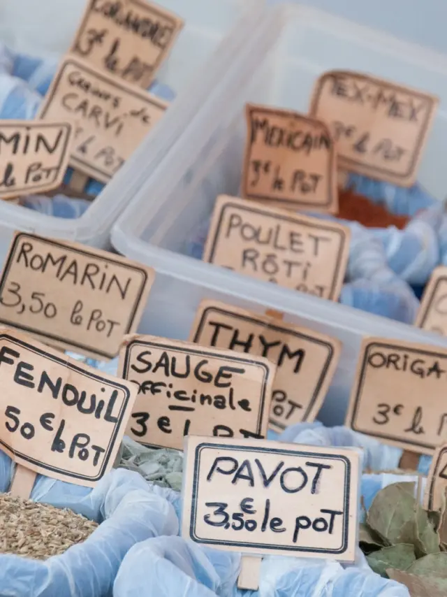 Marche La Fleche® Jp Berlose9 Large