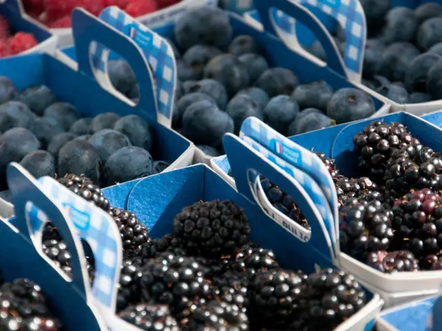 Marche La Fleche® Jp Berlose11 Groot