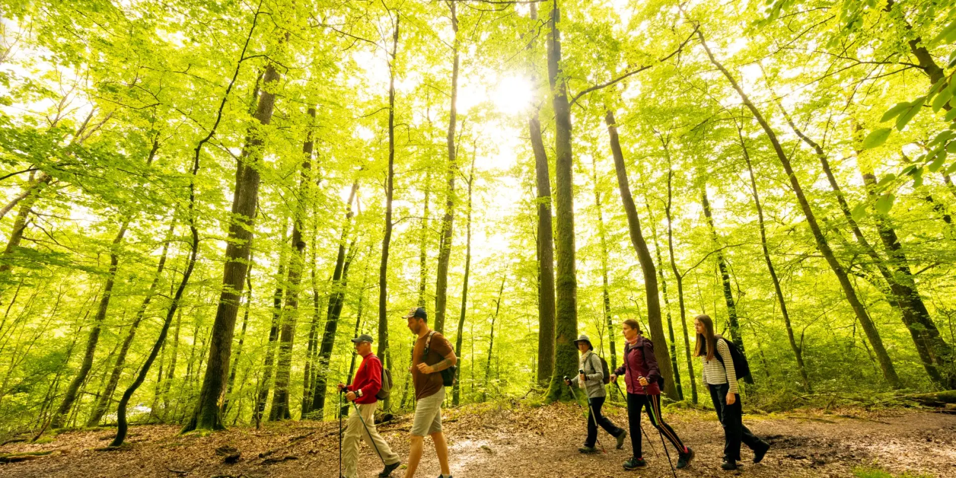 Randonnee Foret De Berce®2024 Pascal Beltrami 5 Large