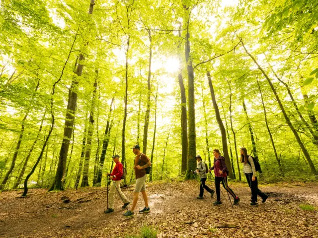 Randonnee Foret De Berce®2024 Pascal Beltrami 5 Groot