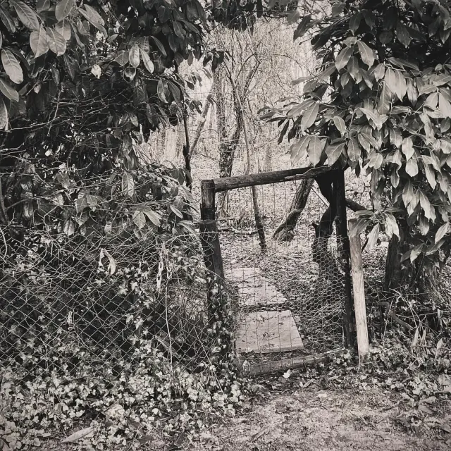 Instagram #valleeduloir