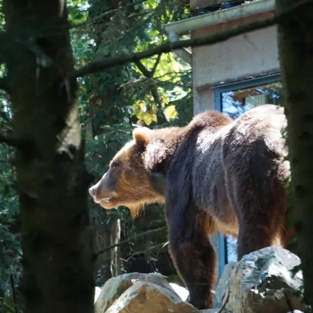 Instagram #zoodelafleche