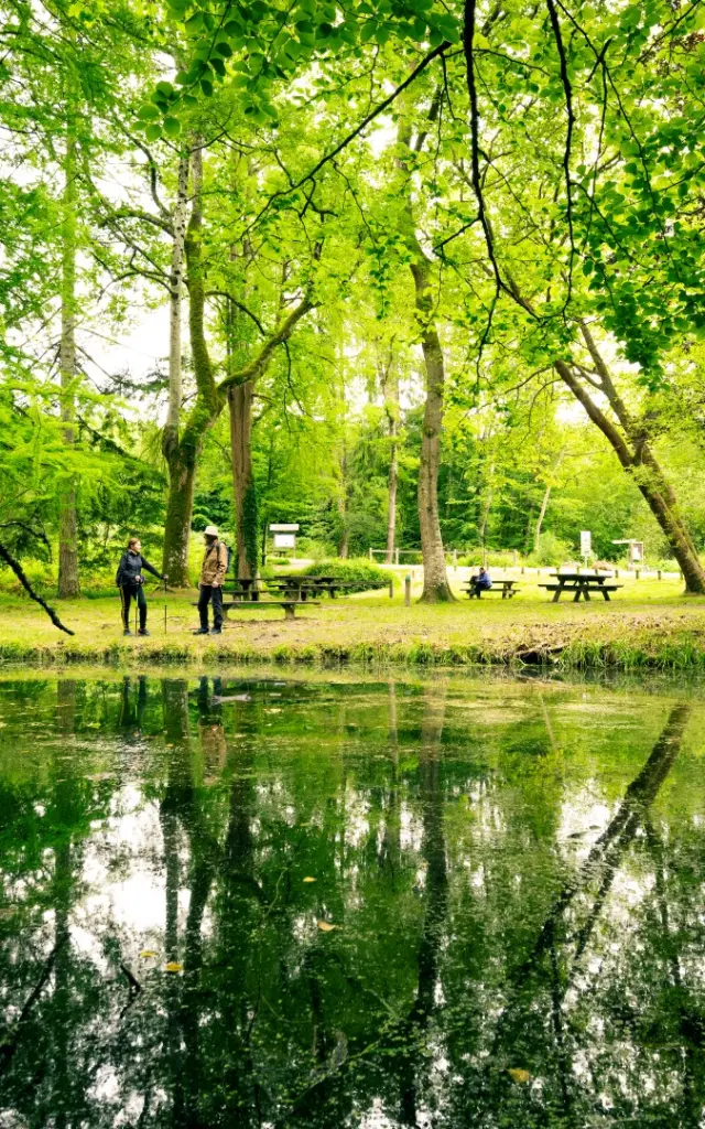 Foret De Berce Pascal Beltrami 1 Large