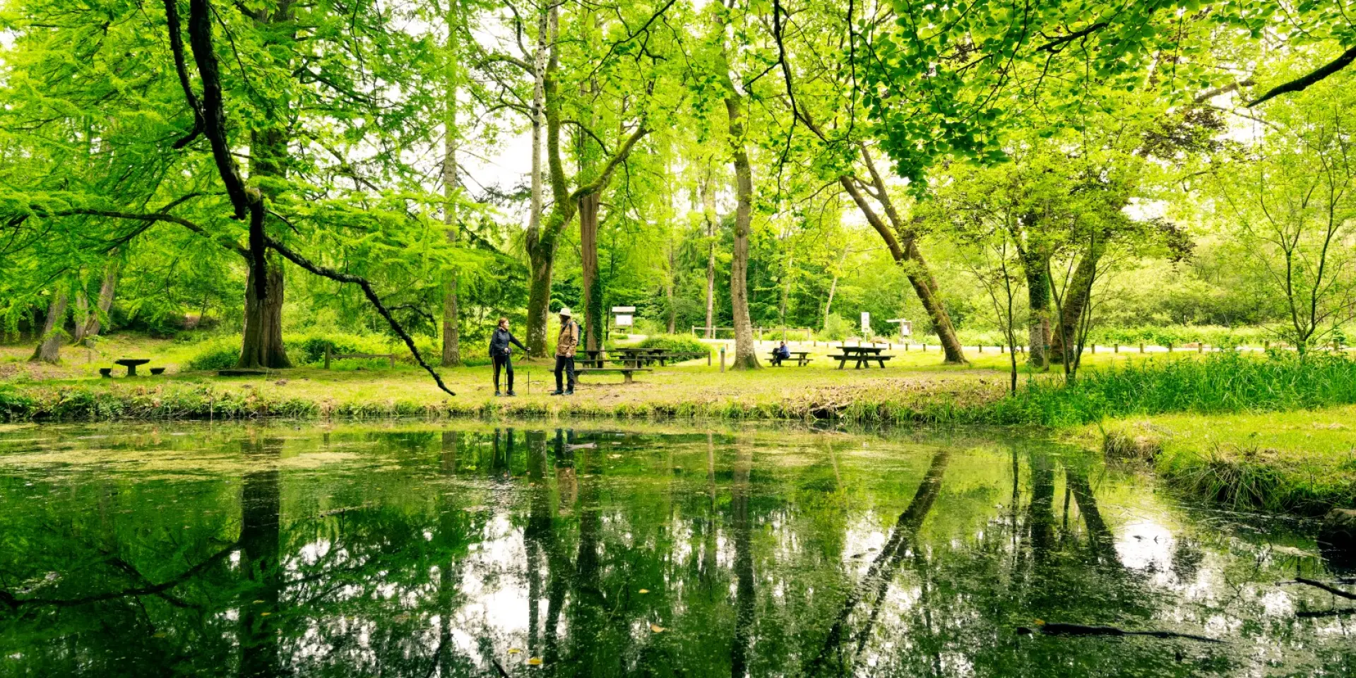 Pascal Beltrami Hogweed Boor 1 Groot
