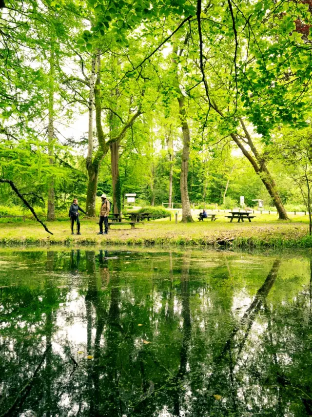 Foret De Berce Pascal Beltrami 1 Large