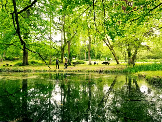 Foret De Berce Pascal Beltrami 1 Large