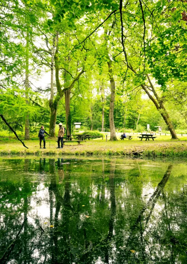 Foret De Berce Pascal Beltrami 1 Large