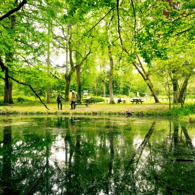 Foret De Berce Pascal Beltrami 1 Large