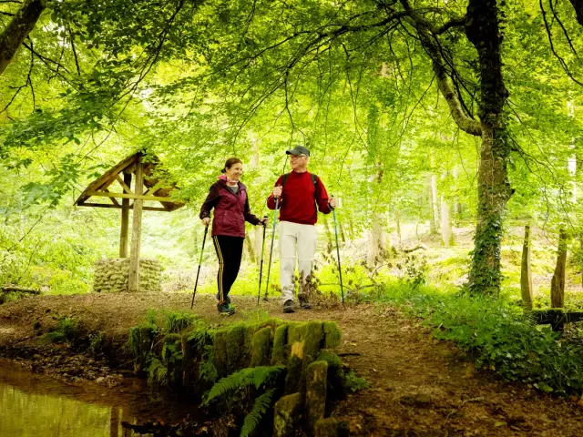 Foret De Berce Pascal Beltrami 4 Large