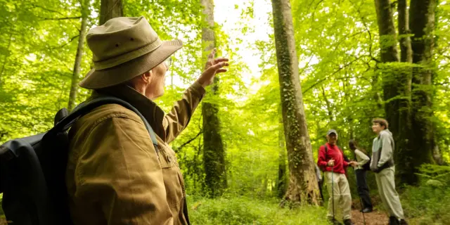 Foret De Berce Pascal Beltrami 6 Large