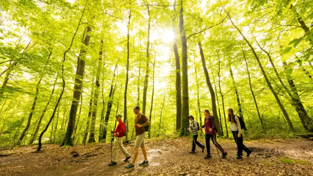 Pascal Beltrami Hogweed Boor 3 Groot 1